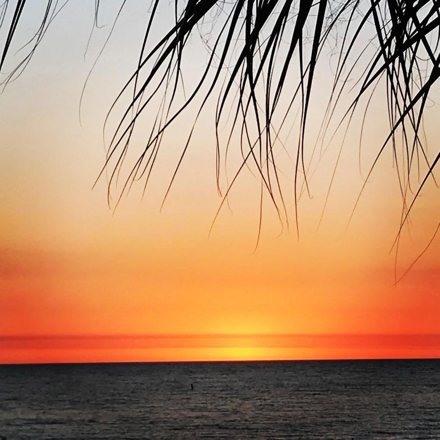201 Sandy Shores Condos St. Pete Beach Εξωτερικό φωτογραφία